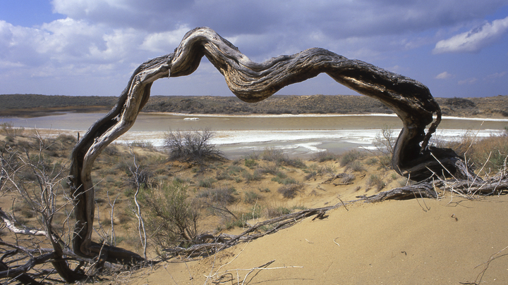 Следующий год будет хуже 2020-го: В ООН предрекли голод и катаклизмы