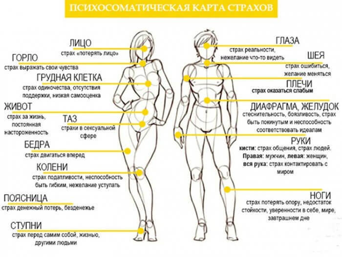 ценный ответ психосоматика лишнего веса у женщин луиза согласен всем