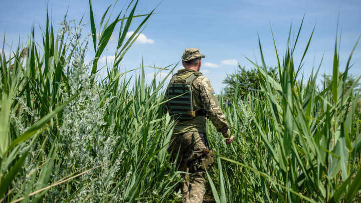 Последние новости Украины сегодня — 17 августа 2019 Последние новости Украины сегодня — 17 августа 2019 украина