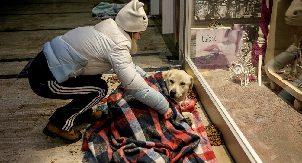 Страсть к заботе о животных