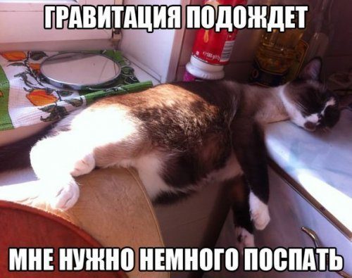 Новые анекдоты дня!