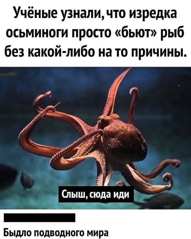 Каждый вечер я сижу дома навстречу своей судьбе... 