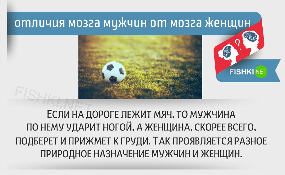 Отличие мозга. Отличие женского мозга от мужского. Чем отличается мужской мозг от женского. Мозг женщины отличие от мужчин. Отличие женского мышления от мужского.