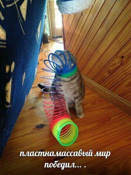 Веселые картинки и забавные фото приколы с надписью из нашей жизни Смешные картинки с надписями до слез