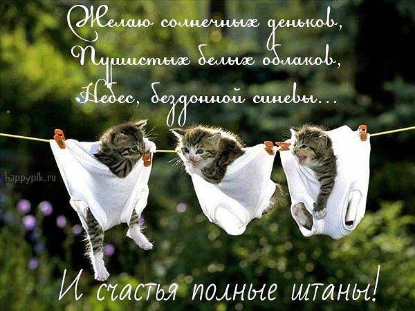 Дед приходит на избирательный участок, подходит к одному из членов комиссии и спрашивает... видимость, приборам, спрашивает, Через, двери, Мужик, назад, подходит, будешь, дверь, почему, больше, месяц, Высота, некоторое, длинненькое, время, приходит, Скорость, пpапоpщик