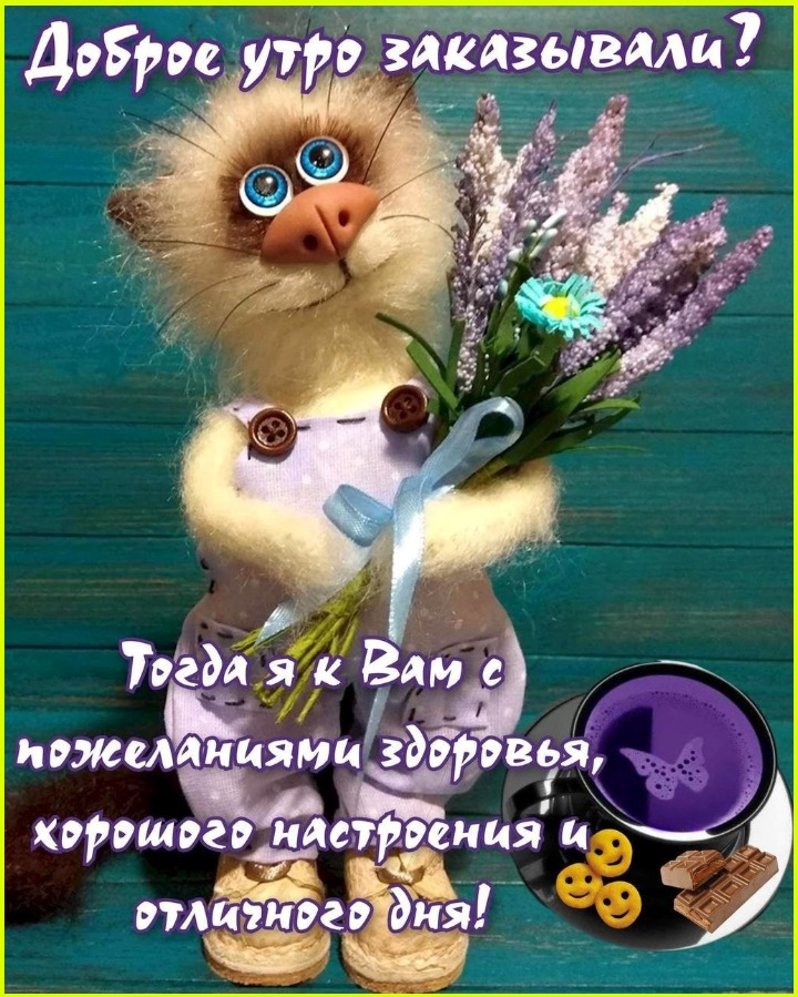 Молодость - это надевать трусы стоя Молодость - это надевать трусы стоя