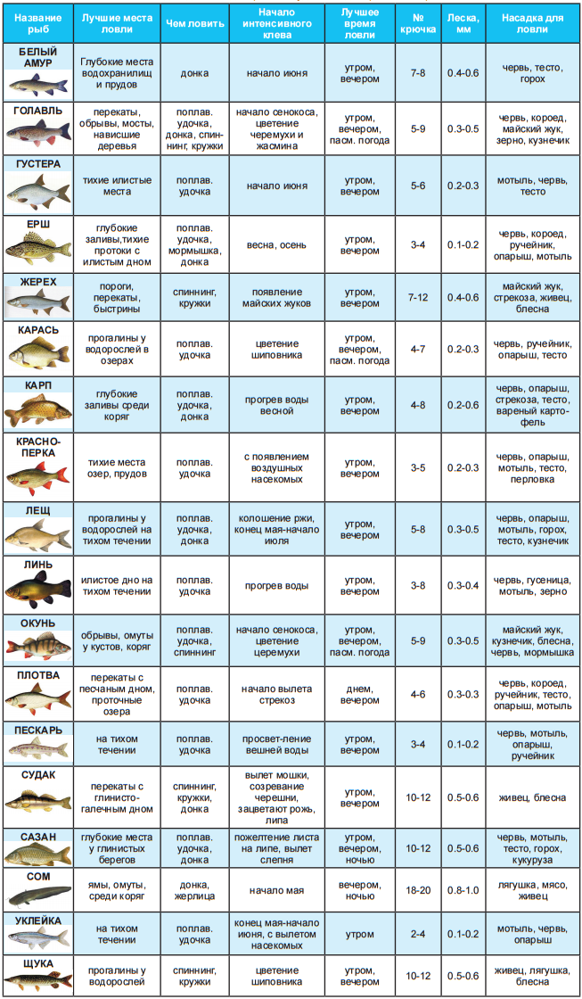Таблица, необходимая рыболову  (на май - июнь)