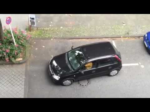 Картинки по запросу World's Worst Attempt At Parallel Parking