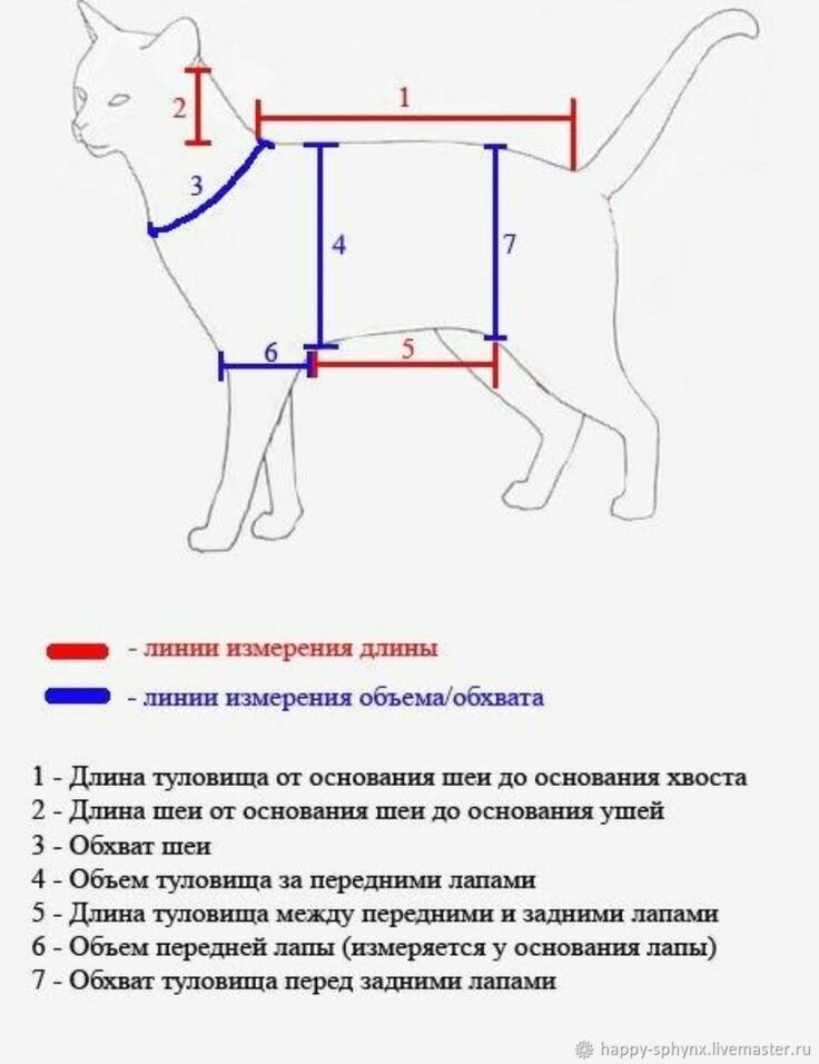 Юбочка для мурочки. Нужны ли кошкам наряды?