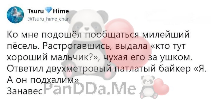 Свежая порция из 15 коротких историй с просторов интернета поднимет настроение Свежая порция из 15 коротких историй с просторов интернета поднимет настроение