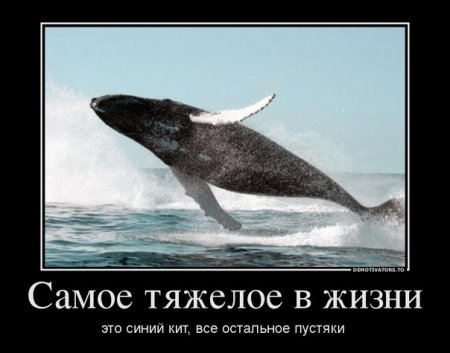 Жизненные демотиваторы со смыслом из сети веселые демотиваторы девушки,зачетные демотиваторы до слез,свежие демотиваторы ржака