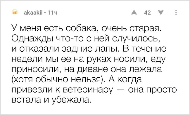 15 вещей, которые случатся с каждым, кто заведет себе собаку 15 вещей, которые случатся с каждым, кто заведет себе собаку