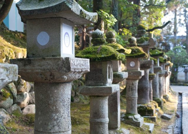 Из чего состоит японский сад и как воссоздать на своем участке — уроки ландшафтного дизайна ландшафтный дизайн,садоводство