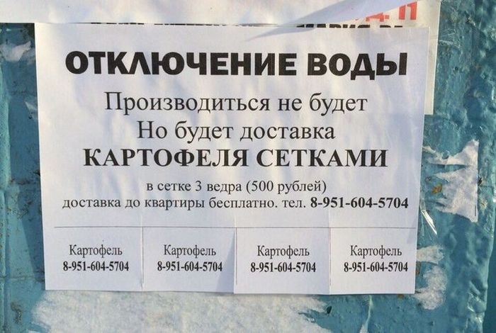 Шедевральные объявления объявления, юмор