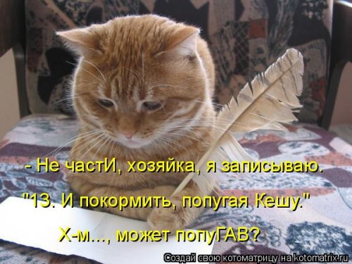 Свежая котоматрица для всех  смешные картинки