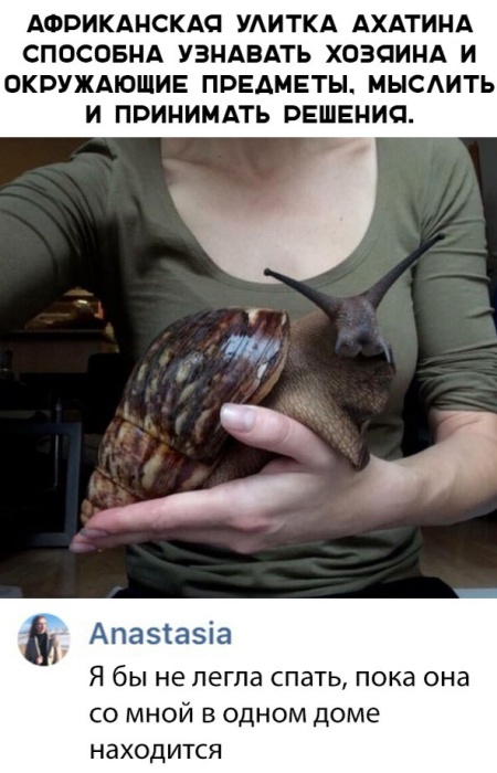 Веселые картинки и забавные фото приколы с надписью из нашей жизни Смешные картинки с надписями до слез