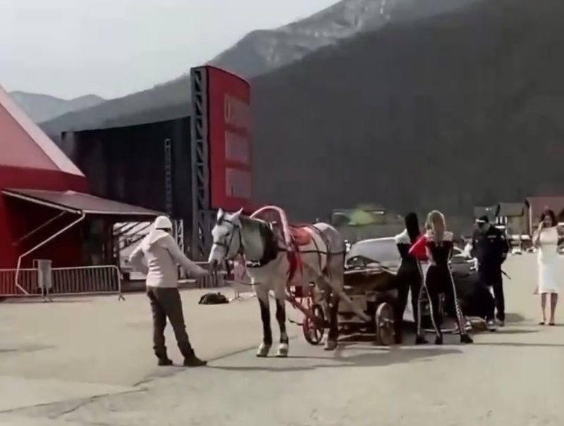 Опубликовано видео курьезного ДТП: в Сочи Tesla врезалась в телегу с лошадьми 
