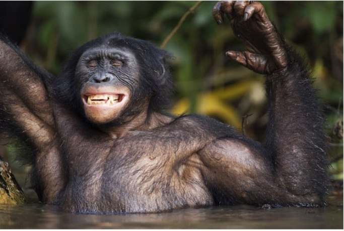 Выбираете на свой вкус любое количество Выбираете на свой вкус любое количество заграница,путешествие,страны,туризм