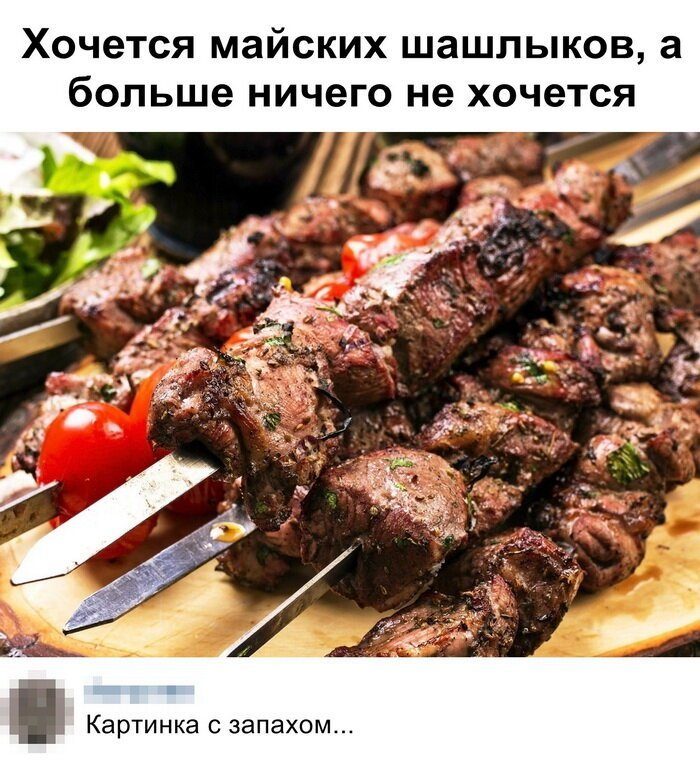 Первомай. Забей на всех и отдыхай! Первомай. Забей на всех и отдыхай! смешные картинки