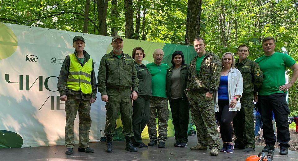 Добровольцы убрали валежник и мусор в Ногинском лесничестве в рамках акции «Чистый лес»