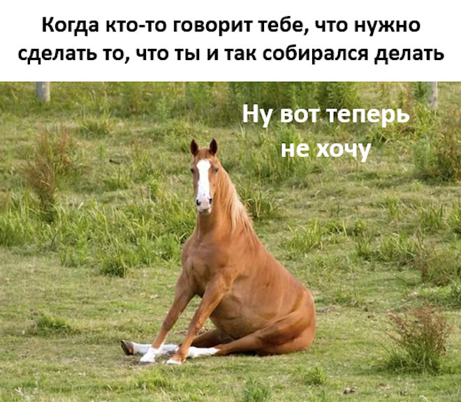 Каждый вечер я сижу дома навстречу своей судьбе... 