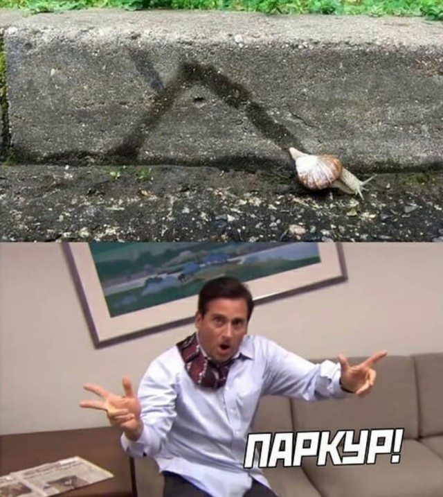 Юмор для тех, кто уже повзрослел и понял, что «любимый сериал» — это тот, под который хорошо засыпается 