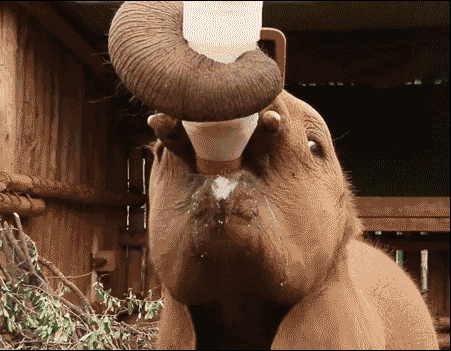 Веселые гифки из нашей жизни Веселые гифки из нашей жизни