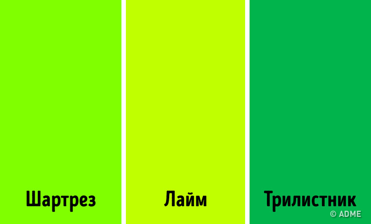 Или зеленый например цвета зеленых. Шартрез цвет. Зеленый шартрез цвет. Chartreuse цвет. Лаймовый оттенок зеленого.
