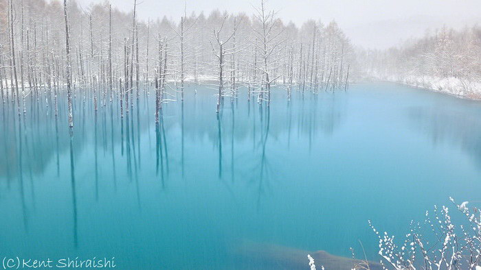 Голубой пруд в Хоккайдо