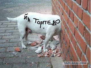 Новогодняя стена Новогодняя стена украина