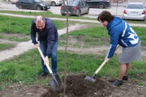 Депутаты городской Думы высадили деревья на Касимовском шоссе Рязани