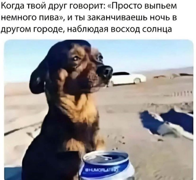 Лучшее средство от морщин — 6 литров пива на ночь Лучшее средство от морщин — 6 литров пива на ночь