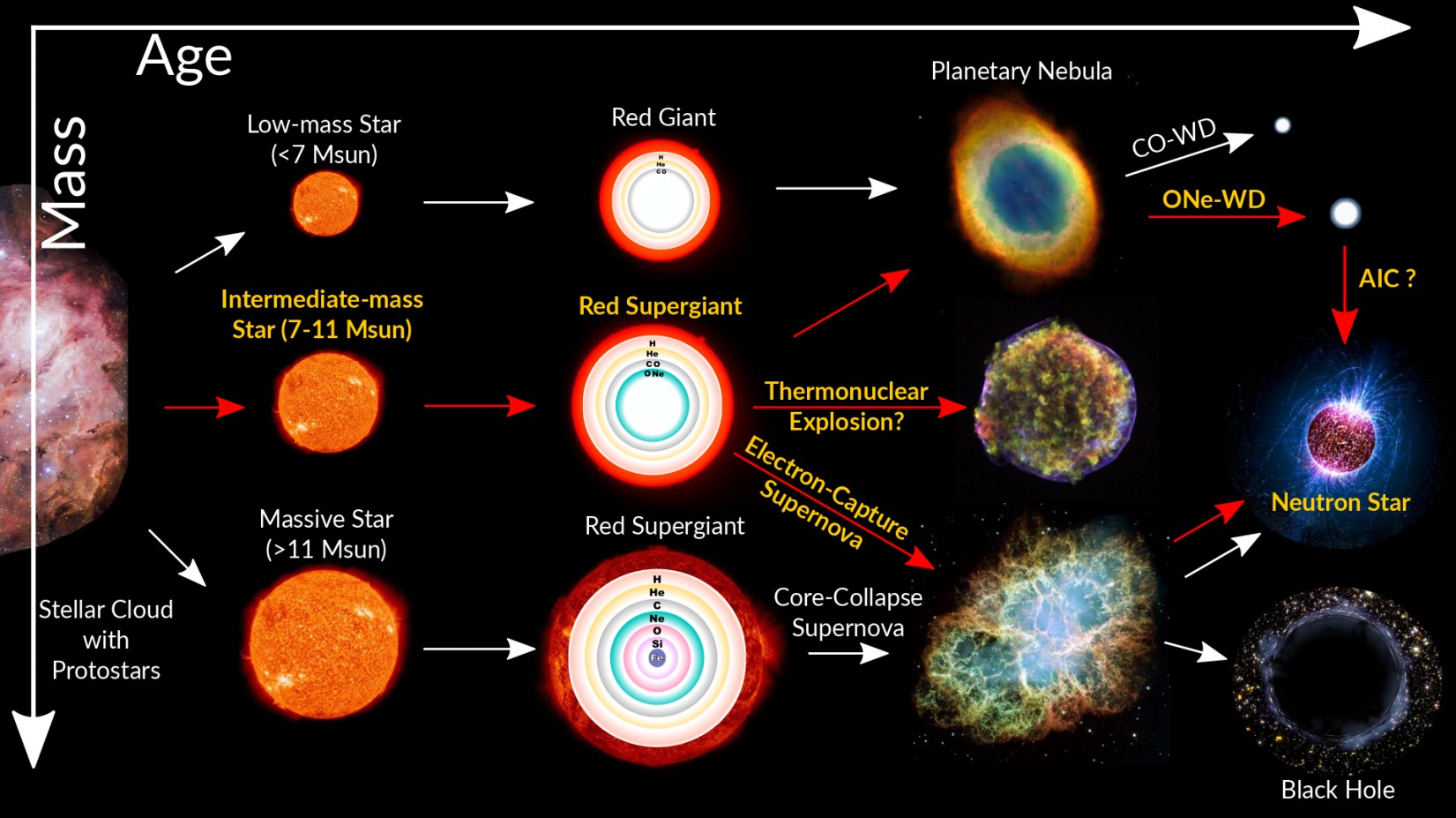 Схема эволюции звезд от протозвезды до черной дыры