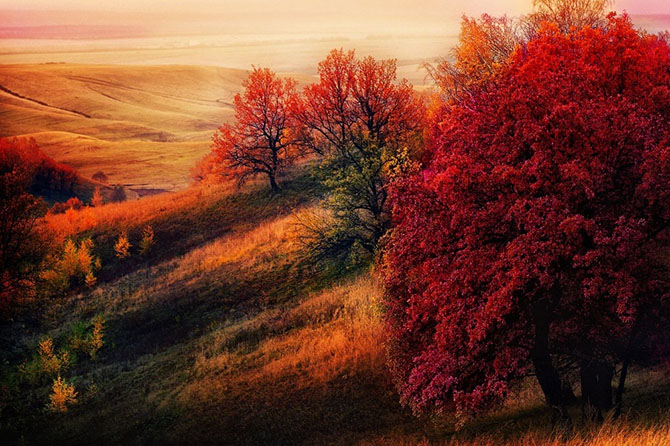 15 мест, где осень особенно прекрасна природа