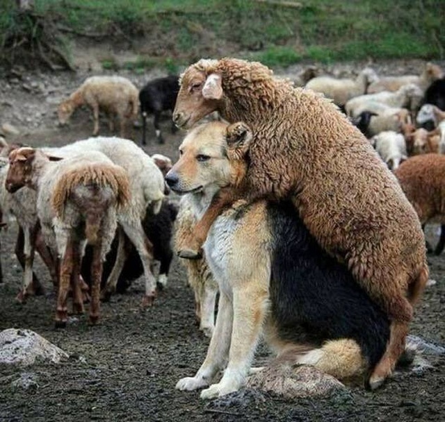 Смешные и позитивные фотографии из нашей жизни 