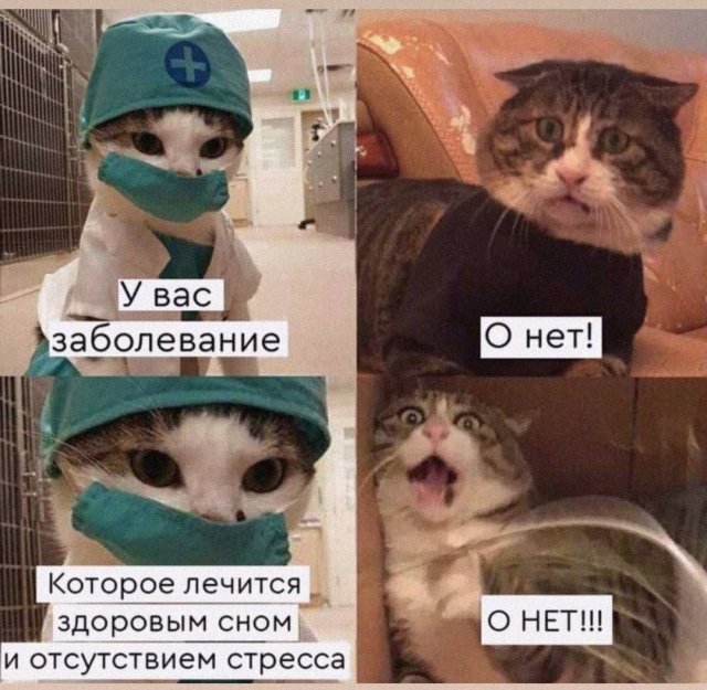 Юмор для тех, кто уже повзрослел и понял, что «любимый сериал» — это тот, под который хорошо засыпается 