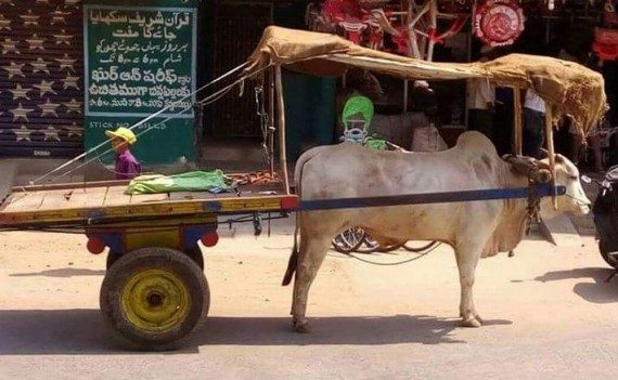 Самые позитивные картинки и фотки Самые позитивные картинки и фотки