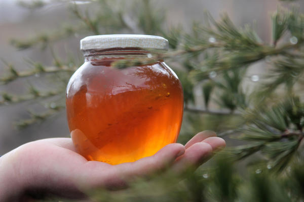 Народные рецепты с медом для здоровья