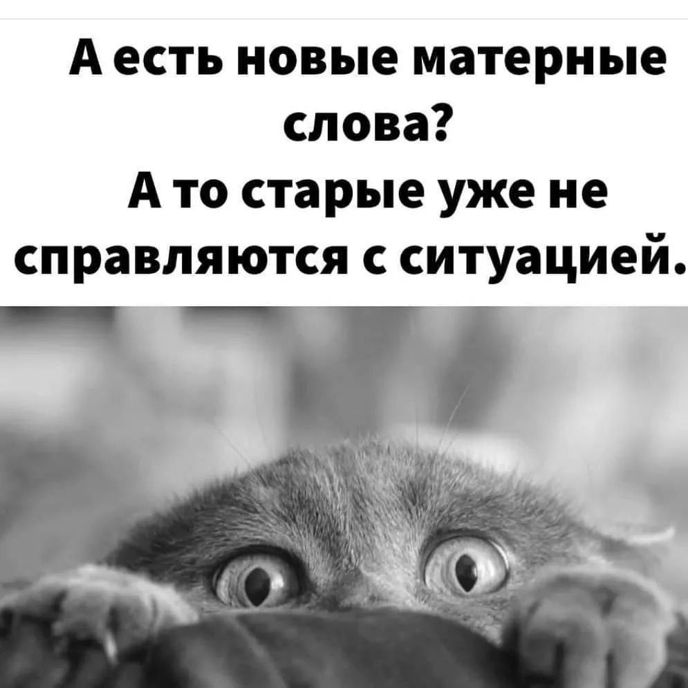 Убийство? Самоубийство?