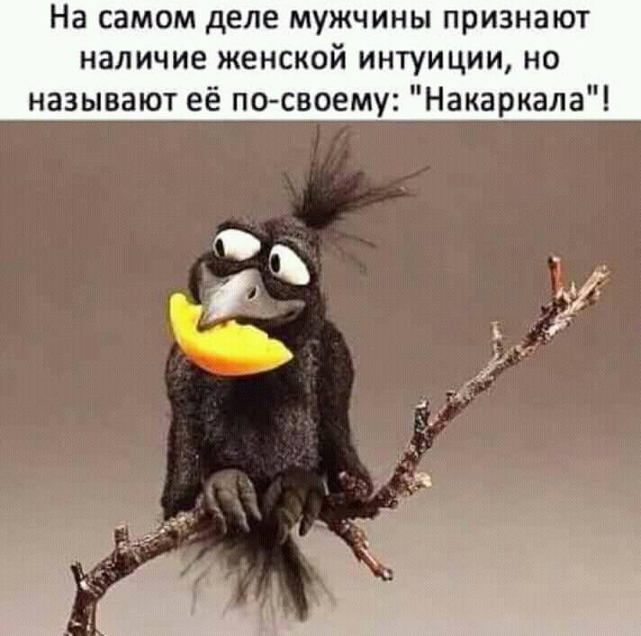 - Доктор, как мои анализы?  - Плохие у вас анализы... Весёлые,прикольные и забавные фотки и картинки,А так же анекдоты и приятное общение