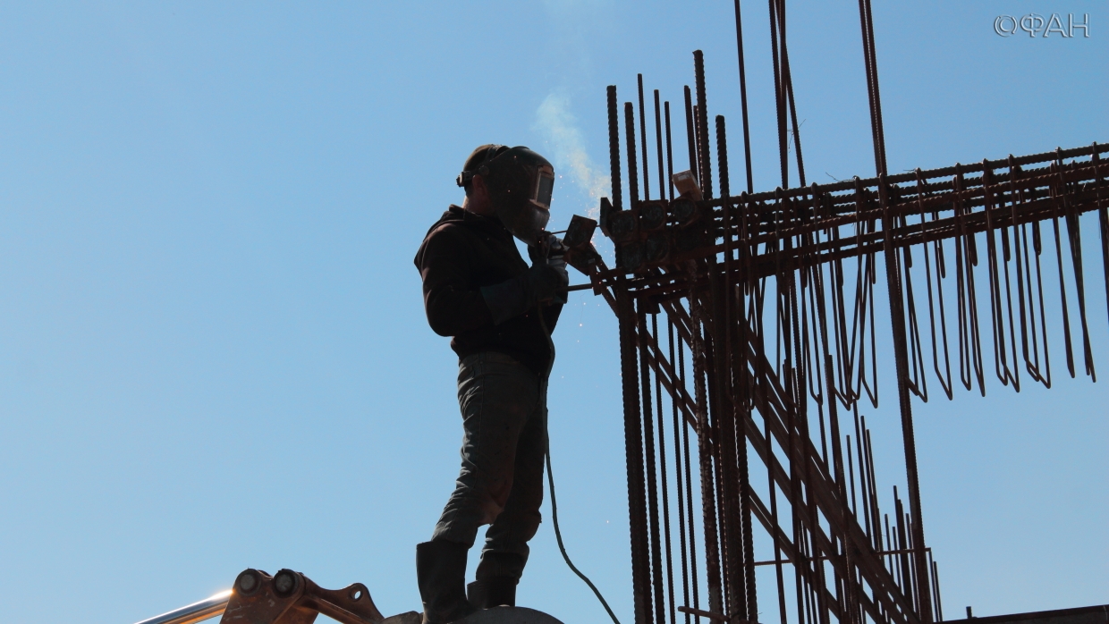 Вырубка деревьев в престижном районе Севастополя возмутила горожан и общественников Общество