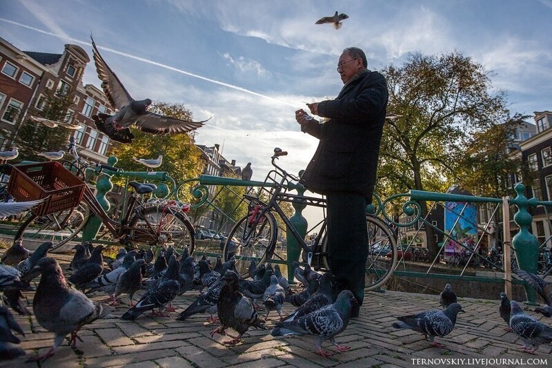 Амстердам — город велосипедов велосипедов, данным, Амстердам, Амстердаме, велосипед, чтобы, невозможно, очень, здесь, Найти, успевай, практически, огромными, приковываются, прекрасно, исправно, всегда, великам, некоторым, Несмотря
