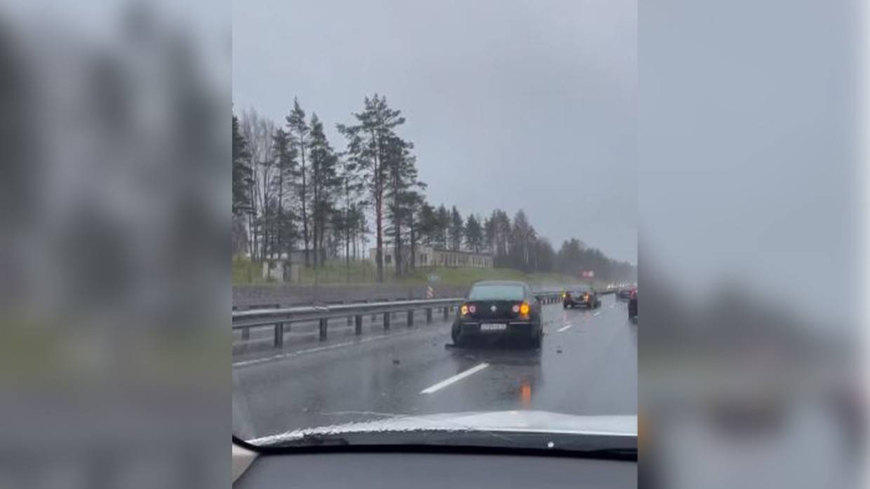 Штормовой ветер валит деревья на трассы вокруг Петербурга Штормовой ветер валит деревья на трассы вокруг Петербурга Общество