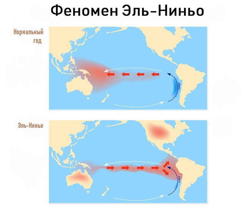 Эль ниньо. Течения Эль-Ниньо и ла-Нинья. Эль-Ниньо течение. Течения Эль-Ниньо и ла-Нинья в тихом океане. Ла-Нинья и Эль-Ниньо климатические феномены.