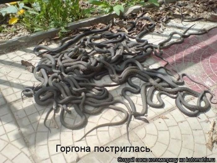 Мысли вслух :)