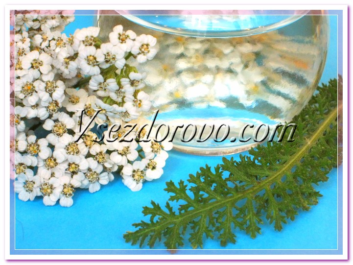 Гидролат тысячелистника фото