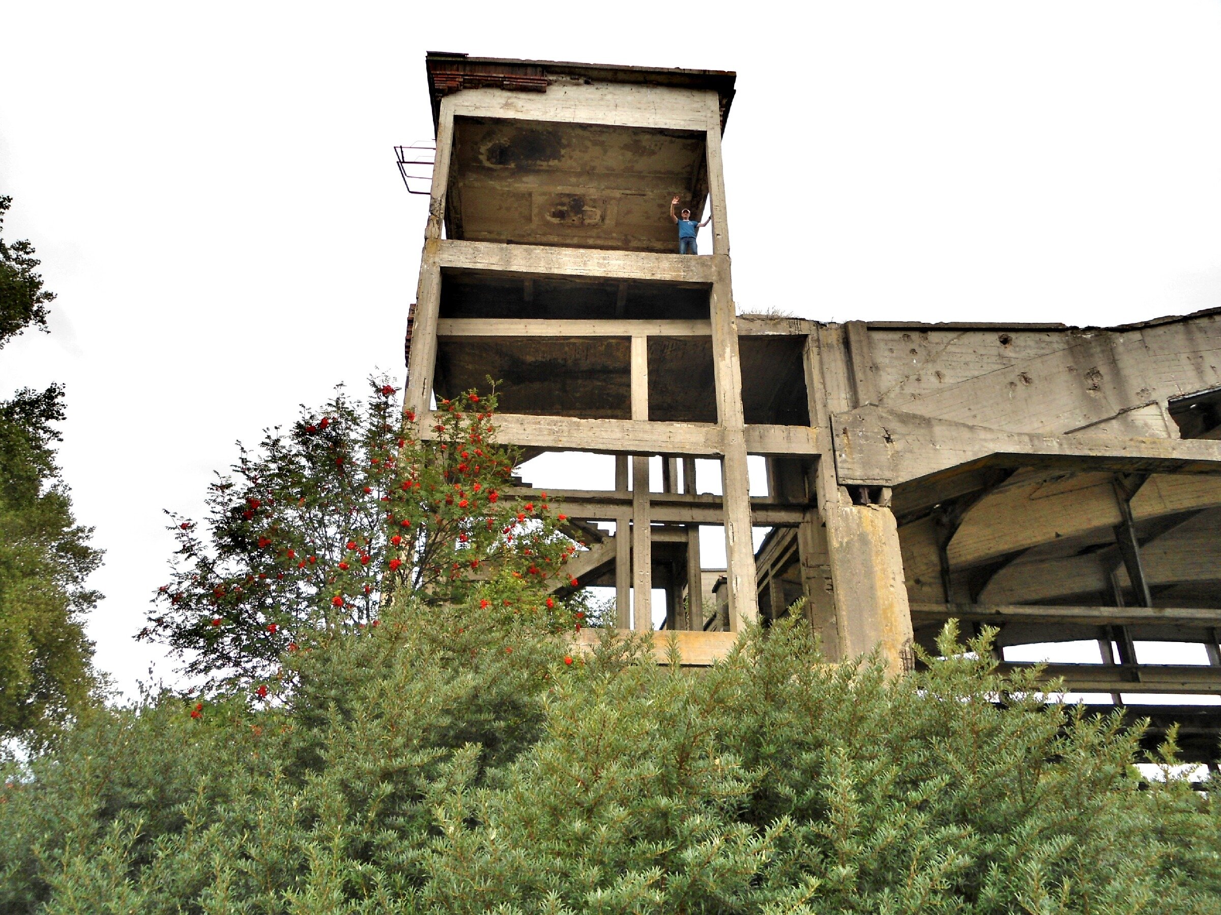 Заброшенный немецкий аэродром Люфтваффе "Нойтиф". Ангар 3 Заброшенный немецкий аэродром Люфтваффе "Нойтиф". Ангар 3