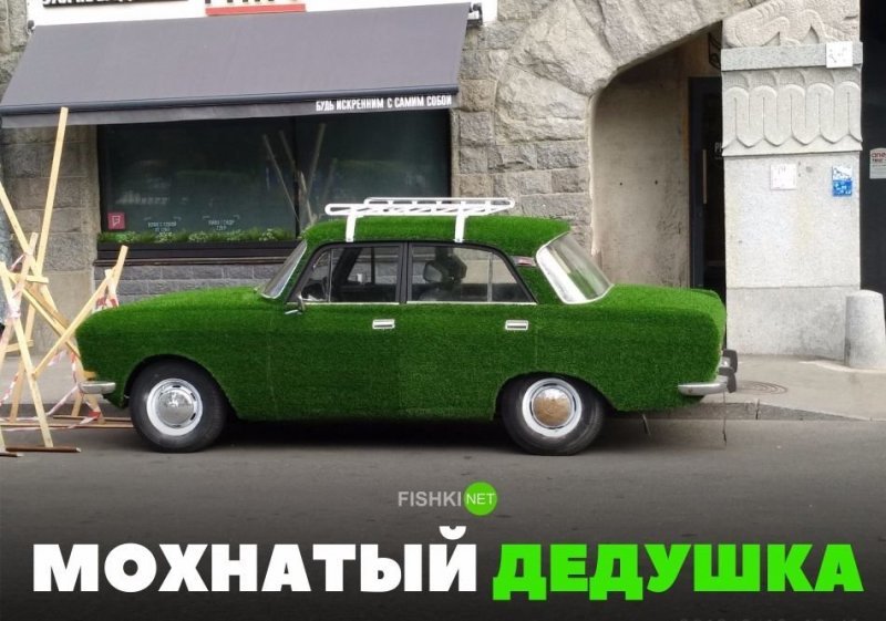 Мохнатый дедушка авто, автомобили, автоприкол, автоприколы, подборка, прикол, приколы, юмор