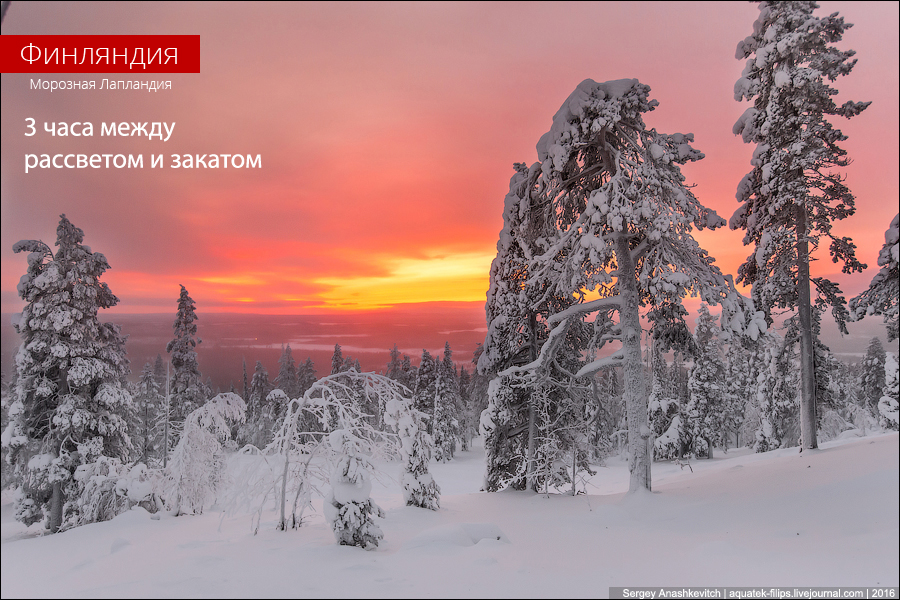 Зима в Лапландии / Winter in Lapland