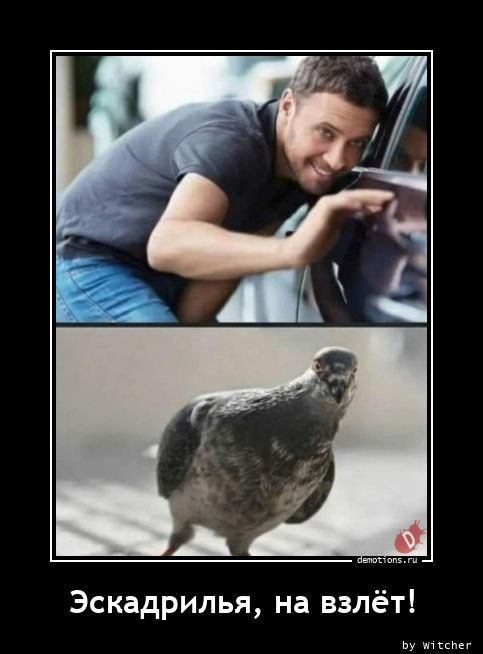 Очередная коллекция демотиваторов для вашего прекрасного предпраздничного настроения! 